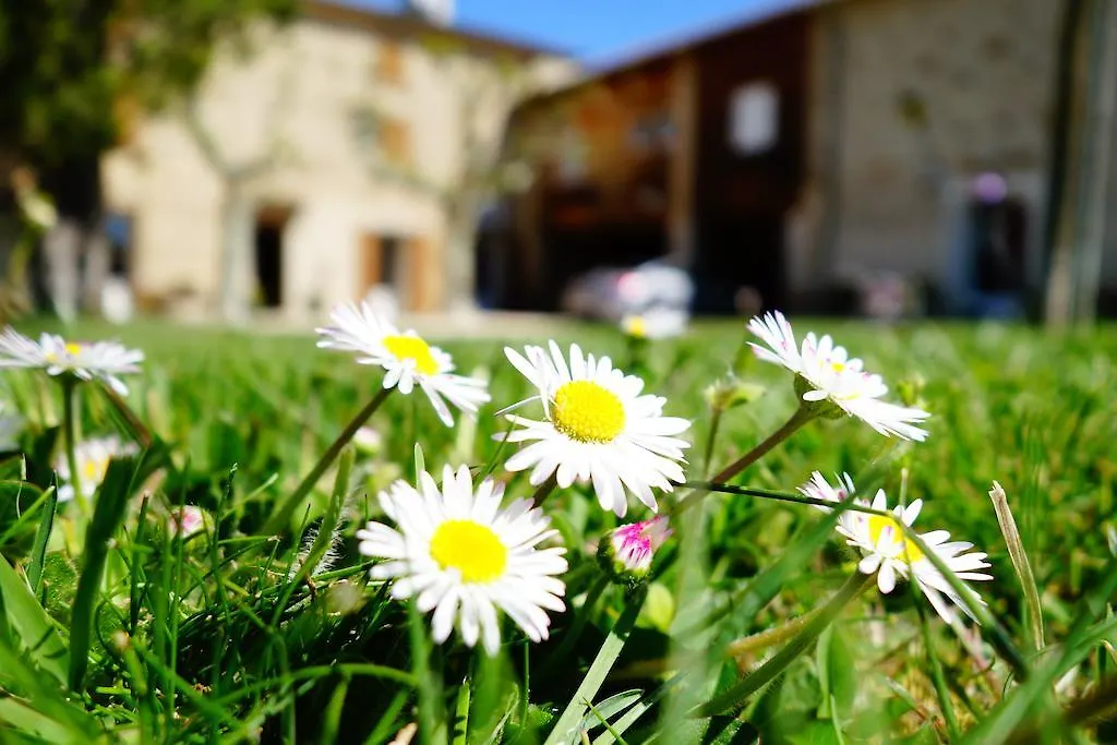 La Ferme Des Denis Bed & Breakfast Chanos-Curson France